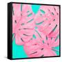 Pink Tropical Palm Leaves of Monstera in Vibrant Bold Color on Turquoise Background-Katya Havok-Framed Stretched Canvas