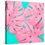 Pink Tropical Palm Leaves of Monstera in Vibrant Bold Color on Turquoise Background-Katya Havok-Stretched Canvas