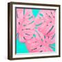 Pink Tropical Palm Leaves of Monstera in Vibrant Bold Color on Turquoise Background-Katya Havok-Framed Photographic Print