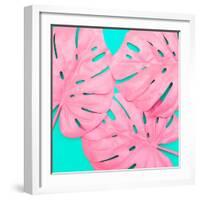 Pink Tropical Palm Leaves of Monstera in Vibrant Bold Color on Turquoise Background-Katya Havok-Framed Photographic Print