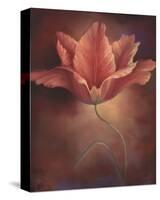 Pink Tulip I-Louise Montillio-Stretched Canvas