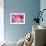 Pink Tulip I-Dana Styber-Framed Photographic Print displayed on a wall