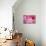 Pink Tulip I-Dana Styber-Mounted Photographic Print displayed on a wall