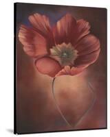 Pink Tulip II-Louise Montillio-Stretched Canvas