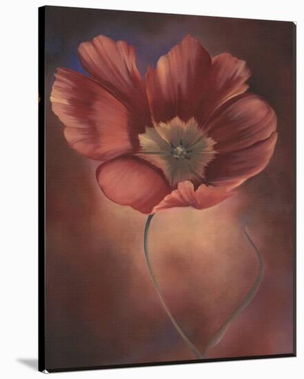 Pink Tulip II-Louise Montillio-Stretched Canvas