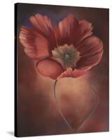 Pink Tulip II-Louise Montillio-Stretched Canvas