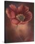 Pink Tulip II-Louise Montillio-Stretched Canvas