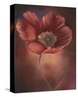 Pink Tulip II-Louise Montillio-Stretched Canvas