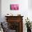 Pink Tulip II-Dana Styber-Photographic Print displayed on a wall