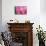 Pink Tulip II-Dana Styber-Mounted Photographic Print displayed on a wall