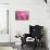 Pink Tulip II-Dana Styber-Mounted Photographic Print displayed on a wall