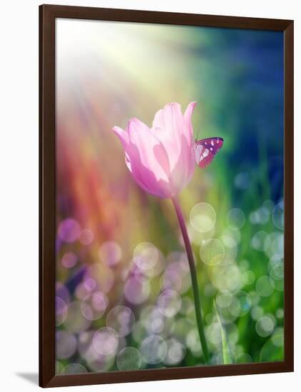 Pink Tulip under the Sunshine-alin b.-Framed Art Print