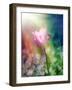 Pink Tulip under the Sunshine-alin b.-Framed Art Print