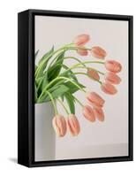 Pink Tulips, 1999-Norman Hollands-Framed Stretched Canvas