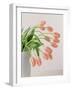 Pink Tulips, 1999-Norman Hollands-Framed Photographic Print