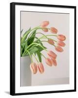 Pink Tulips, 1999-Norman Hollands-Framed Photographic Print