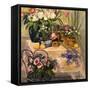 Pink Tulips and Wild Roses-Allayn Stevens-Framed Stretched Canvas