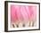 Pink Tulips Flowers-Julie Pigula-Framed Photographic Print