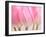 Pink Tulips Flowers-Julie Pigula-Framed Photographic Print