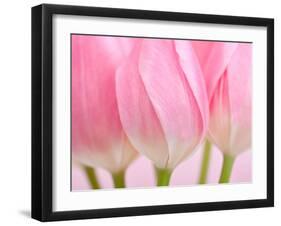 Pink Tulips Flowers-Julie Pigula-Framed Photographic Print