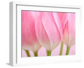 Pink Tulips Flowers-Julie Pigula-Framed Photographic Print