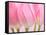 Pink Tulips Flowers-Julie Pigula-Framed Stretched Canvas