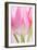 Pink Tulips Flowers-Julie Pigula-Framed Photographic Print