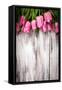 Pink Tulips over Wooden Table-oksix-Framed Stretched Canvas