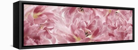Pink Tulips Scape-Cora Niele-Framed Stretched Canvas