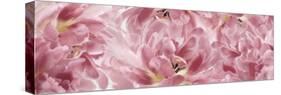 Pink Tulips Scape-Cora Niele-Stretched Canvas