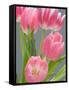 Pink Tulips-Jamie & Judy Wild-Framed Stretched Canvas