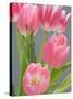 Pink Tulips-Jamie & Judy Wild-Stretched Canvas
