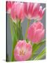 Pink Tulips-Jamie & Judy Wild-Stretched Canvas