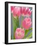 Pink Tulips-Jamie & Judy Wild-Framed Photographic Print