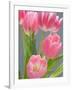 Pink Tulips-Jamie & Judy Wild-Framed Photographic Print