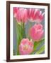 Pink Tulips-Jamie & Judy Wild-Framed Photographic Print