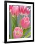 Pink Tulips-Jamie & Judy Wild-Framed Photographic Print