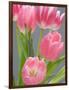 Pink Tulips-Jamie & Judy Wild-Framed Photographic Print