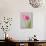 Pink Tulips-Jamie & Judy Wild-Stretched Canvas displayed on a wall