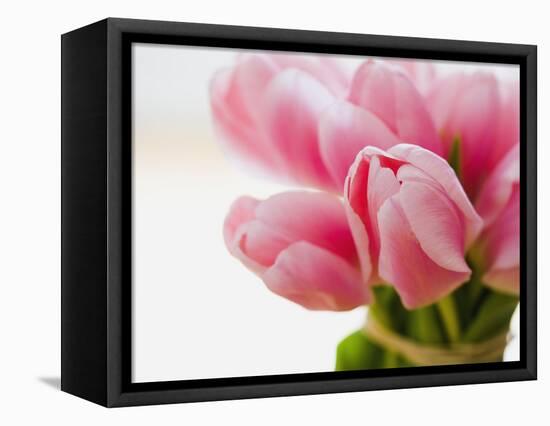 Pink tulips-Ada Summer-Framed Stretched Canvas