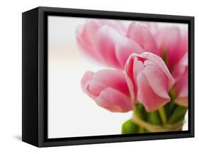 Pink tulips-Ada Summer-Framed Stretched Canvas
