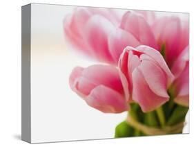 Pink tulips-Ada Summer-Stretched Canvas