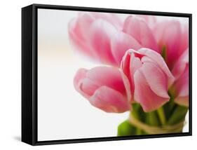 Pink tulips-Ada Summer-Framed Stretched Canvas