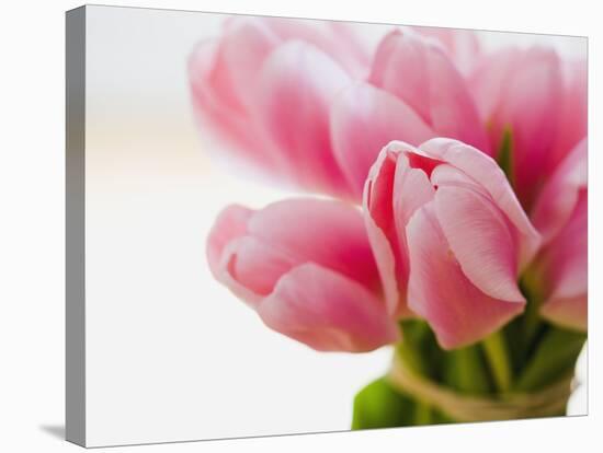 Pink tulips-Ada Summer-Stretched Canvas