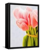 Pink tulips-Ada Summer-Framed Stretched Canvas