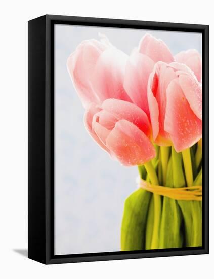 Pink tulips-Ada Summer-Framed Stretched Canvas