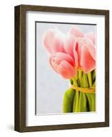 Pink tulips-Ada Summer-Framed Photographic Print