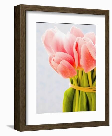 Pink tulips-Ada Summer-Framed Photographic Print