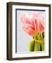 Pink tulips-Ada Summer-Framed Photographic Print