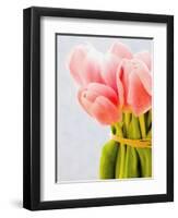 Pink tulips-Ada Summer-Framed Photographic Print